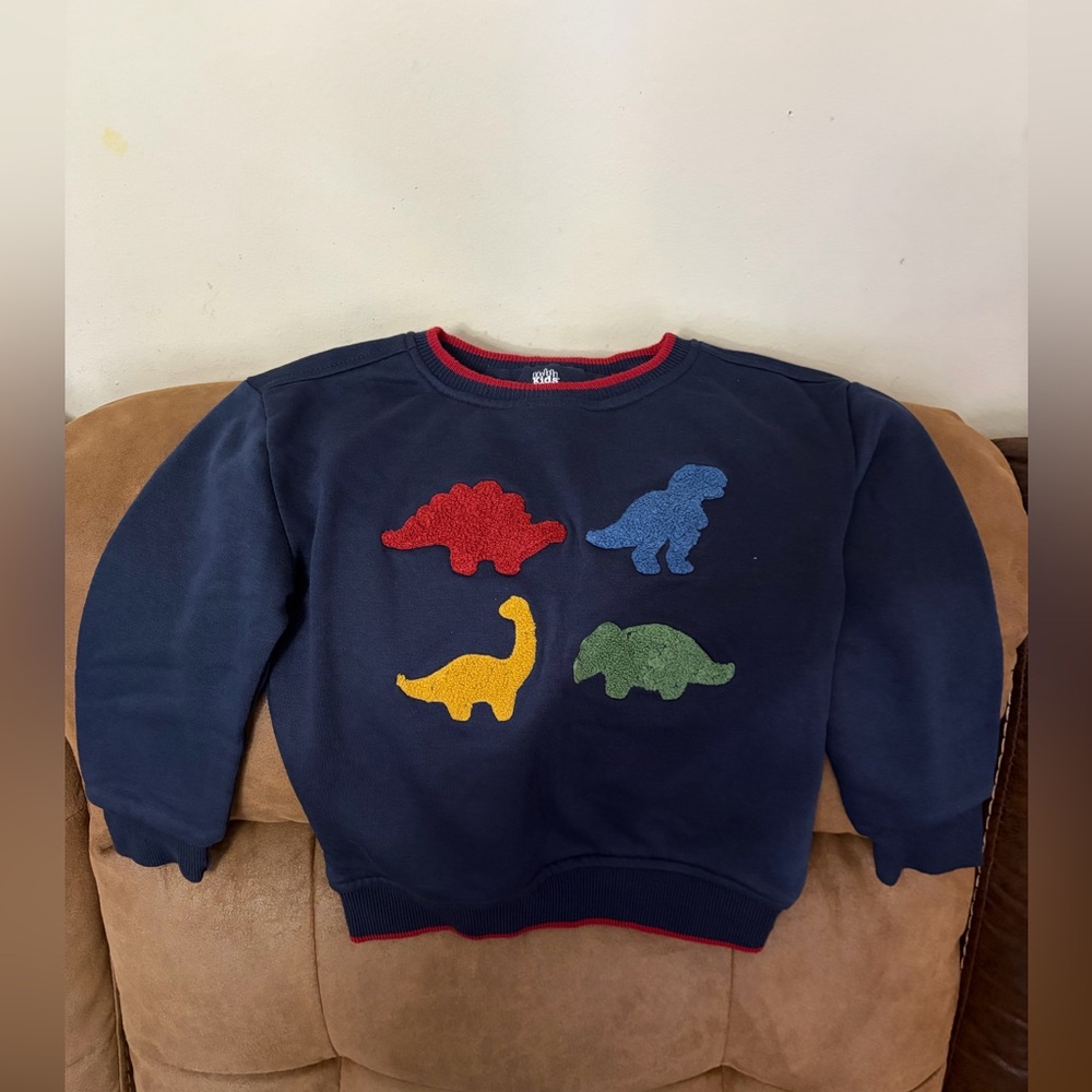 Boy’s Dinosaur Sweatshirt - Navy Blue